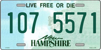 NH license plate 1075571