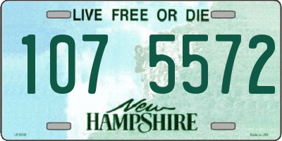 NH license plate 1075572