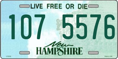 NH license plate 1075576
