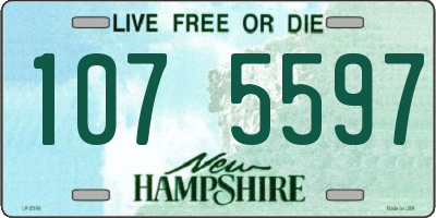 NH license plate 1075597