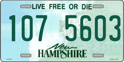 NH license plate 1075603