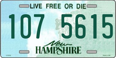 NH license plate 1075615