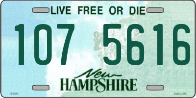 NH license plate 1075616