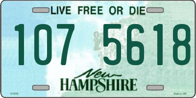 NH license plate 1075618
