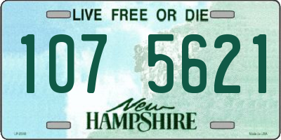 NH license plate 1075621