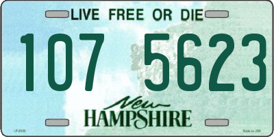 NH license plate 1075623