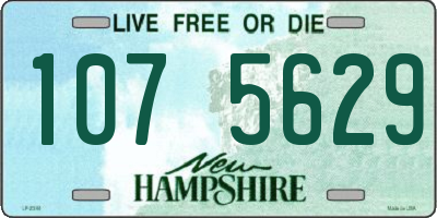 NH license plate 1075629