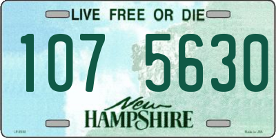 NH license plate 1075630