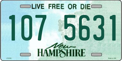 NH license plate 1075631