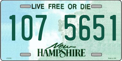 NH license plate 1075651