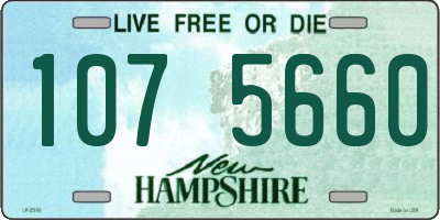 NH license plate 1075660