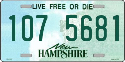 NH license plate 1075681
