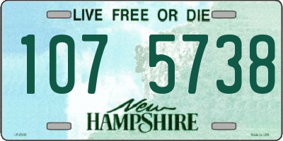 NH license plate 1075738