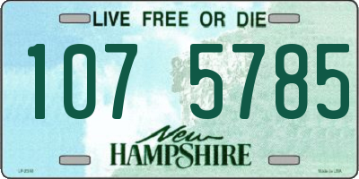 NH license plate 1075785