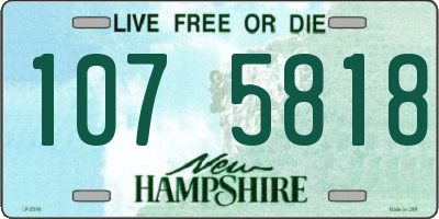 NH license plate 1075818