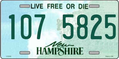 NH license plate 1075825