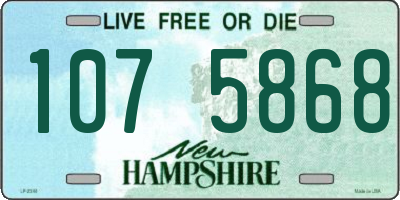 NH license plate 1075868