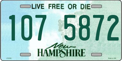NH license plate 1075872