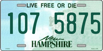 NH license plate 1075875