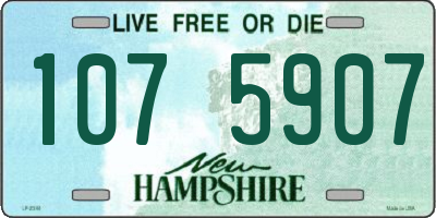 NH license plate 1075907