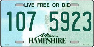 NH license plate 1075923