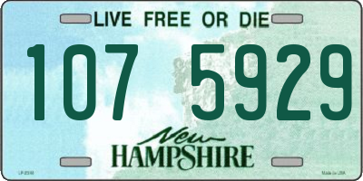 NH license plate 1075929
