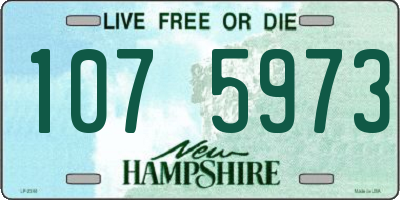 NH license plate 1075973