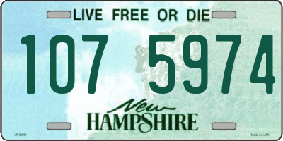 NH license plate 1075974