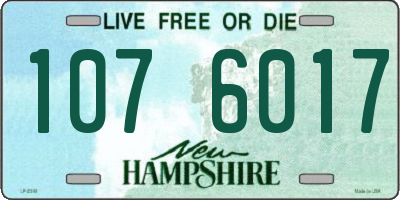 NH license plate 1076017