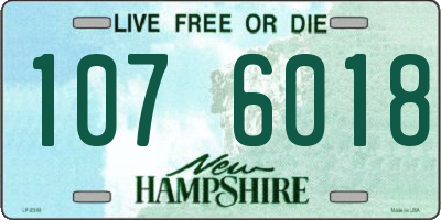 NH license plate 1076018