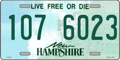 NH license plate 1076023