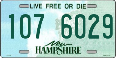 NH license plate 1076029