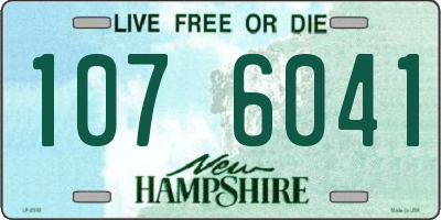 NH license plate 1076041