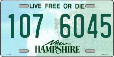 NH license plate 1076045