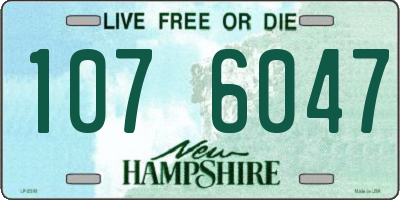 NH license plate 1076047