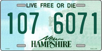 NH license plate 1076071