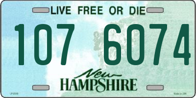 NH license plate 1076074