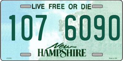 NH license plate 1076090
