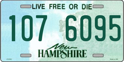 NH license plate 1076095