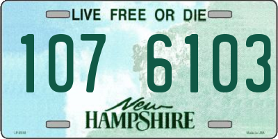 NH license plate 1076103