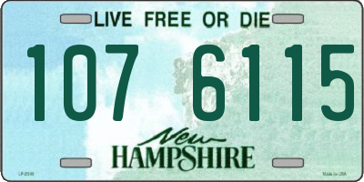 NH license plate 1076115