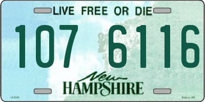 NH license plate 1076116