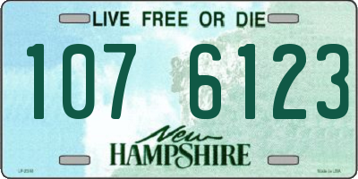 NH license plate 1076123