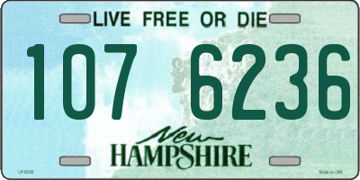 NH license plate 1076236