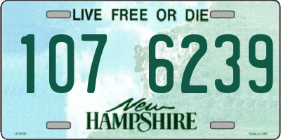 NH license plate 1076239