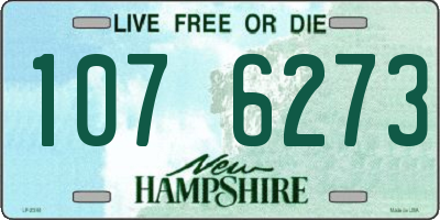 NH license plate 1076273