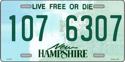NH license plate 1076307