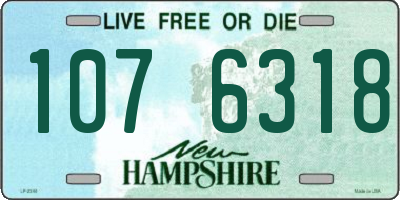 NH license plate 1076318