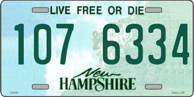 NH license plate 1076334