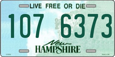 NH license plate 1076373